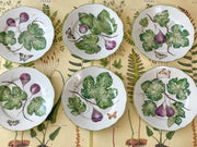 Chelsea Limited Edition Handpainted Limoges Porcelain Dinner Plates (set of 6)