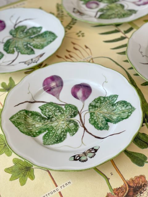 Chelsea Limited Edition Handpainted Limoges Porcelain Dinner Plates (set of 6)
